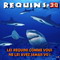 REQUINS 3D